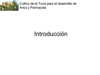 Introducción Cultivo de la Tuna para el desarrollo de Arica y Parinacota 