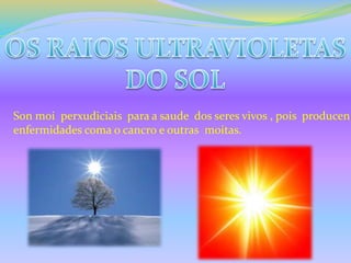 Son moi perxudiciais para a saude dos seres vivos , pois producen 
enfermidades coma o cancro e outras moitas. 
 