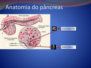 Anatomia do pâncreas
INSULINA
GLUCAGON
 
