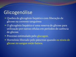 Glicogenólise
 Quebra do glicogênio hepático com liberação de
glicose na corrente sanguínea
 O glicogênio hepático é uma reserva de glicose para
utilização por outras células em períodos de carência
de glicose.
 Processo estimulado pelo glucagon.
 Hormônio liberado pelo pâncreas quando os níveis de
glicose no sangue estão baixos.
 