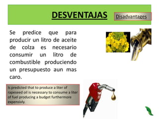 DESVENTAJASDisadvantagesSe predice que para producir un litro de aceite de colza es necesario consumir un litro de combustible produciendo un presupuesto aun mas caro.Is predicted that to produce a liter of rapeseed oil is necessary to consume a liter of fuel producing a budget furthermore expensivly.