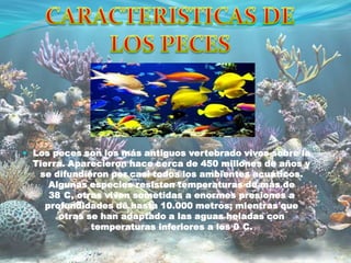  Los peces son los más antiguos vertebrado vivos sobre la
  Tierra. Aparecieron hace cerca de 450 millones de años y
   se difundieron por casi todos los ambientes acuáticos.
      Algunas especies resisten temperaturas de más de
      38 C, otras viven sometidas a enormes presiones a
     profundidades de hasta 10.000 metros; mientras que
       otras se han adaptado a las aguas heladas con
              temperaturas inferiores a los 0 C.
 
