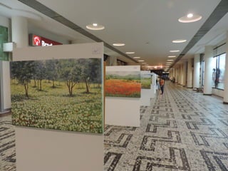 Fotografias Oscar Freire e Conjunto Nacional