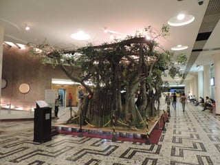 Fotografias Oscar Freire e Conjunto Nacional