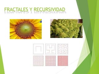 FRACTALES Y RECURSIVIDAD
 