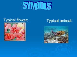 Typical flower: SYMBOLS Typical animal: 