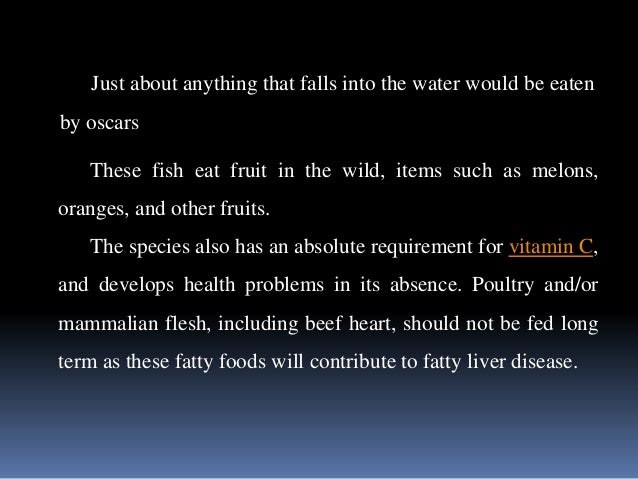Oscar Fish and Other Common Cichlids Oscar Fish and Other Common Cichlids
