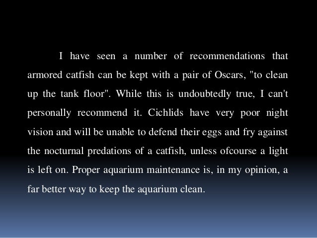 Oscar Fish and Other Common Cichlids Oscar Fish and Other Common Cichlids