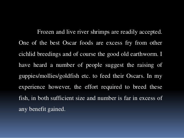 Oscar Fish and Other Common Cichlids