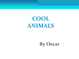 By Oscar
COOL
ANIMALS
 