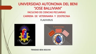 UNIVERSIDAD AUTONOMA DEL BENI
“JOSE BALLIVIAN”
FACULTAD DE CIENCIAS PECUARIAS
CARRERA DE VETERINARIA Y ZOOTECNIA
FLAVIVIRUS
TRINIDAD-BENI-BOLIVIA
 