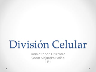 División Celular
Juan esteban Ortiz Valle
Oscar Alejandro Patiño
11°1
 
