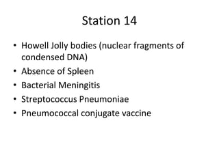 Station 14
• Howell Jolly bodies (nuclear fragments of
condensed DNA)
• Absence of Spleen
• Bacterial Meningitis
• Streptococcus Pneumoniae
• Pneumococcal conjugate vaccine
 