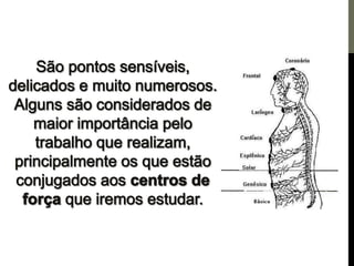 Os centros de força e a pineal