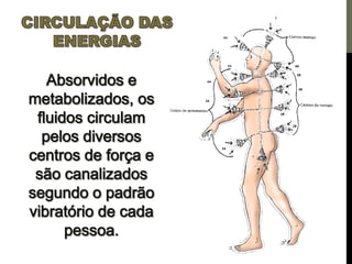 Os centros de força e a pineal
