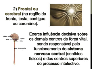Os centros de força e a pineal