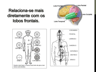 Os centros de força e a pineal