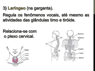 Os centros de força e a pineal