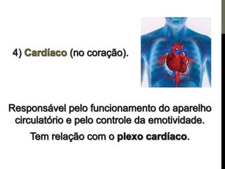 Os centros de força e a pineal