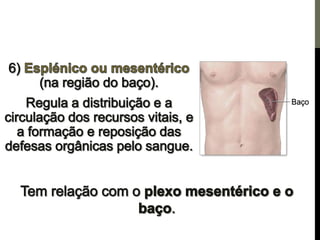 Os centros de força e a pineal