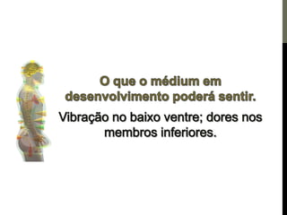 Os centros de força e a pineal