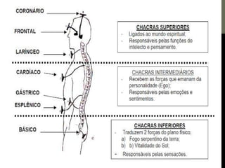 Os centros de força e a pineal