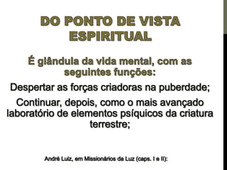Os centros de força e a pineal