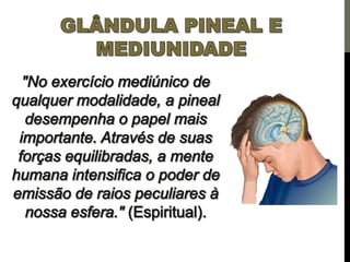 Os centros de força e a pineal