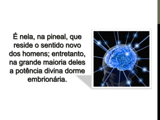Os centros de força e a pineal