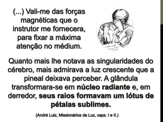 Os centros de força e a pineal