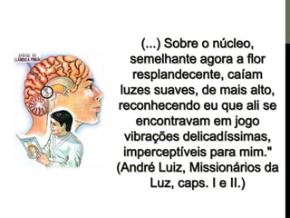 Os centros de força e a pineal