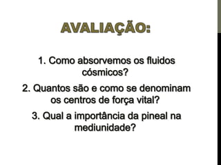 Os centros de força e a pineal