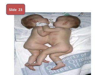 Slide 23
 
