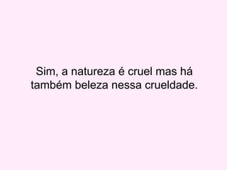 Sim, a natureza é cruel mas há
também beleza nessa crueldade.
 