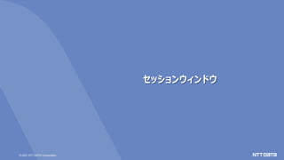 © 2021 NTT DATA Corporation
セッションウィンドウ
 