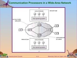 Communication Processors in a Wide-Area Network 