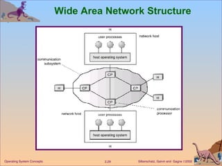 Wide Area Network Structure 