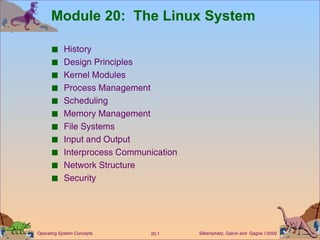 Module 20:  The Linux System ,[object Object],[object Object],[object Object],[object Object],[object Object],[object Object],[object Object],[object Object],[object Object],[object Object],[object Object]