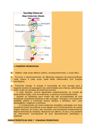 • FUNÇÕES PRINCIPAIS:
1. Vitalizar cada corpo elétrico subtil e, consequentemente, o corpo físico.
2. Provocar o desenvolvimento de diferentes aspectos da autoconsciência.
Cada chakra e cada corpo subtil estão relacionados com funções
psicológicas.
3. Transmitir energia. A energia é transmitida de uma camada para a
seguinte através de passagens nas extremidades dos chakras, alimentando
assim todas as camadas da anatomia humana.
A cada instante, somos alquimistas experimentando no mundo da
autotransformação, mas normalmente, o fazemos inconscientemente.
Quando as tentativas para mudar não são acompanhadas de uma
tomada de consciência tendemos a não conseguir “energizar” (converter em
realidade prática e funcional) nossos desejos e decisões, nem curar
desequilíbrios orgânicos e anímicos.
O Conhecimento de nossa anatomia energética (estudada com base
no sistema hindú dos chakras e sua relação com o funcionamento de nossos
órgãos internos) se tornou não somente uma ferramenta fundamental no
desenvolvimento da medicina vibracional nos últimos 15 anos, mas também
um instrumento incomparável de auto descobrimento psicológico e
espiritual.
CARACTERÍSTICAS DOS 7 CHAKRAS PRINCIPAIS
 