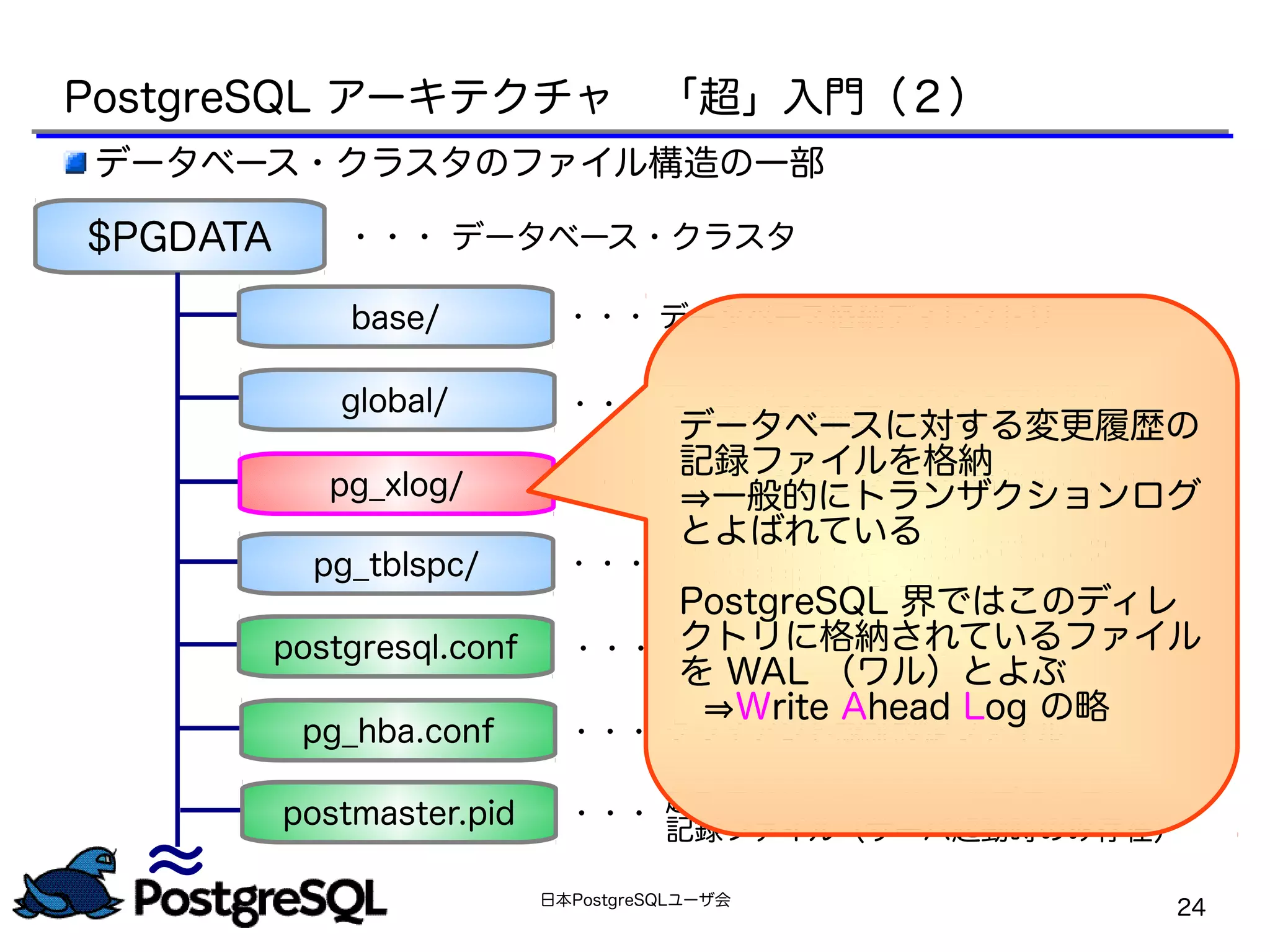 日本PostgreSQLユーザ会
24
データベース・クラスタのファイル構造の一部
～
$PGDATA
～
・・・ データベース・クラスタ
・・・ トランザクション・ログ格納ディレクトリ
・・・ パラメータ・ファイル
・・・ クライアント認証設定ファイル
データベース・クラスタで共有する
テーブルの格納ディレクトリ
postmaster.pid
pg_hba.conf
postgresql.conf
global/
pg_tblspc/
base/
テーブルスペースへのシンボリック
リンク格納ディレクトリ
・・・
・・・ データベース格納ディレクトリ
・・・
起動中のPostgreSQL のプロセスID
記録ファイル（サーバ起動時のみ存在）
・・・
PostgreSQL アーキテクチャ　「超」入門（２）
pg_xlog/
データベースに対する変更履歴の
記録ファイルを格納
⇒一般的にトランザクションログ
とよばれている
PostgreSQL 界ではこのディレ
クトリに格納されているファイル
を WAL （ワル）とよぶ
⇒Write Ahead Log の略
 