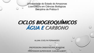 CICLOS BIOGEOQUÍMICOS
ÁGUA E CARBONO
ALUNA: EVELYN FERNANDES
PROFESSORA ORIENTADORA: ROSILENE
PROFESSOR SUPERVISOR: CLEILIM ALBERT
Universidade do Estado do Amazonas
Licenciatura em Ciências Biológicas
Disciplina de Prática II
 