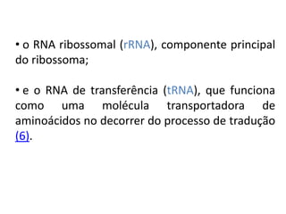 • o RNA ribossomal (rRNA), componente principal
do ribossoma;
• e o RNA de transferência (tRNA), que funciona
como uma molécula transportadora de
aminoácidos no decorrer do processo de tradução
(6).
COMPONENTE CURRICULAR: BIOLOGIA - Série 1º Ano
Tópico: Os ácidos nucleicos (DNA): composição e estrutura molecular
 