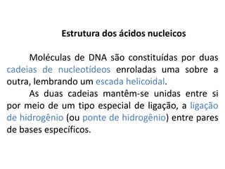 Estrutura dos ácidos nucleicos
Moléculas de DNA são constituídas por duas
cadeias de nucleotídeos enroladas uma sobre a
outra, lembrando um escada helicoidal.
As duas cadeias mantêm-se unidas entre si
por meio de um tipo especial de ligação, a ligação
de hidrogênio (ou ponte de hidrogênio) entre pares
de bases específicos.
COMPONENTE CURRICULAR: BIOLOGIA - Série 1º Ano
Tópico: Os ácidos nucleicos (DNA): composição e estrutura molecular
 