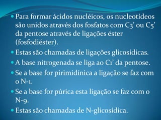  Para formar ácidos nucléicos, os nucleotídeos
  são unidos através dos fosfatos com C3’ ou C5’
  da pentose através de ligações éster
  (fosfodiéster).
 Estas são chamadas de ligações glicosídicas.
 A base nitrogenada se liga ao C1’ da pentose.
 Se a base for pirimidínica a ligação se faz com
  o N-1.
 Se a base for púrica esta ligação se faz com o
  N-9.
 Estas são chamadas de N-glicosídica.
 