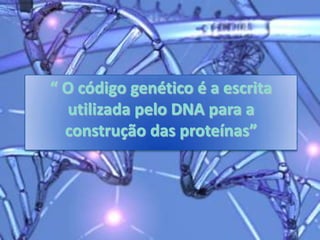 “ O código genético é a escrita
  utilizada pelo DNA para a
  construção das proteínas”
 