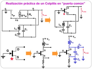 Realización práctica de un Colpitts en “puerta común”
G                                   D                       G       D                 +
        +                                   +                                             vs osc
                                                                    S

        -
            vgs        g·vgs   Rs
                                            -
                                                vs osc
                                                                *                     -


                   S

                                                           L2           C1
              L2          C1
                                                           C3
                  C3
                                                                        + Vcc
                                                  + Vcc
                                                                         L2
                                                     LCH                             CD


    G              D                              D             G
                                                                        D                  +
                                        G                                                      vs osc
                                                                        S       C1
                                                 S                                         -
                   S
        *                                                                        C3
 