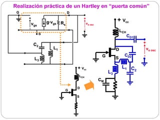 Realización práctica de un Hartley en “puerta común”
 G                             D
     +
                    g·vgs Rs
                                       +
                                                              + Vcc
          vgs                              vs osc
      -                                -
                                                                  LCH
                S
                                                                        CD1

           C2                                                                 +
                      L1                                      D                   vs osc
                                                     G              CD2       -
           L3                                                 S

                                   + Vcc                           L1 C
                                                                        2
                                                         L3
                                   LCH
                                                    CM
                                   D
                           G
                                   S
 