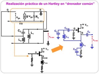 Realización práctica de un Hartley en “drenador común”
G                             D
     +
         vgs       g·vgs Rs
     -
               S
                                                                         + Vcc
                                                              CG    G    D
          C2                                             C2                       CS
                     L1                     +                            S
                                                vs osc         L3                      +
          L3                                -                                              vs osc
                                                                                       -
                                                                             L1
                                  + Vcc                             CM
                          G       D

                                  S

                                      LCH
 
