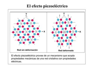 El efecto piezoeléctrico provee de un mecanismo que acopla
propiedades mecánicas de una red cristalina con propiedades
eléctricas.
Red sin deformación
X
+
+
+
+
+
+
+
+
+
+
+
+
+
+
+
+
+
+
+
+
+
_
_
_
_ _
_ _
_
_
_
_
_ _
_
_
_
_
_
_
_
Red deformada
+
+
+
+
+
+
+
+
+
+
+
+
+
+
+
+
+
+
+
+
+
_
_
_
_ _
_ _
_
_
_
_
_ _
_
_
_
_
_
_
_
X
 
- +
Y
Y
_
_
El efecto piezoeléctrico
 