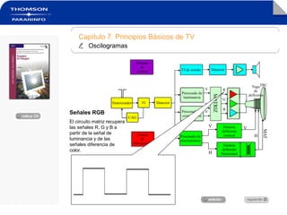 Capítulo 7. Principios Básicos de TV
Oscilogramas
Procesado de
luminancia
Procesado de
crominancia
MATRIZ
FI de sonido Detector
VSistema
deflexión
vertical
Sistema
deflexión
Horizontal
Procesado de
sincronismos
Sistema
deflexión
Horizontal
H
MAT
Sistema
de
control
Y
U
V
R
G
B
V
H
Detector
Fuente
de
alimentación
FISintonizador
CAG
Yugo
de
deflexión
TRC
Señales RGB
El circuito matriz recupera
las señales R, G y B a
partir de la señal de
luminancia y de las
señales diferencia de
color.
 